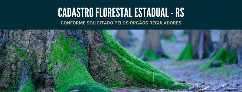 Cadastro Florestal Estadual – RS